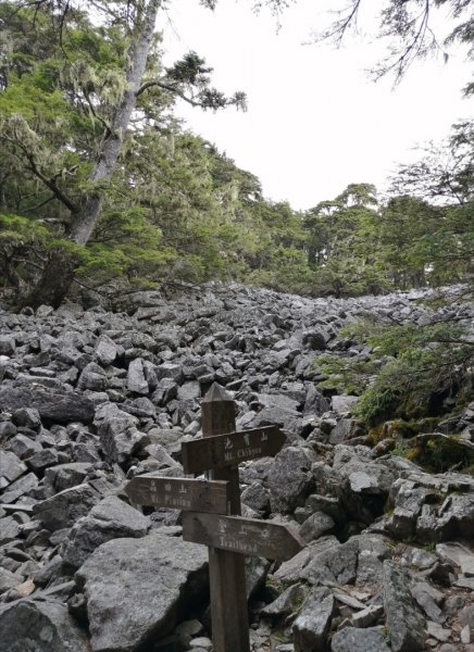 [百岳]武陵四之二秀~池有山、品田山646914