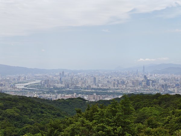 [微笑山線_第一段] 2026_0725 大棟山系_大同山3101741