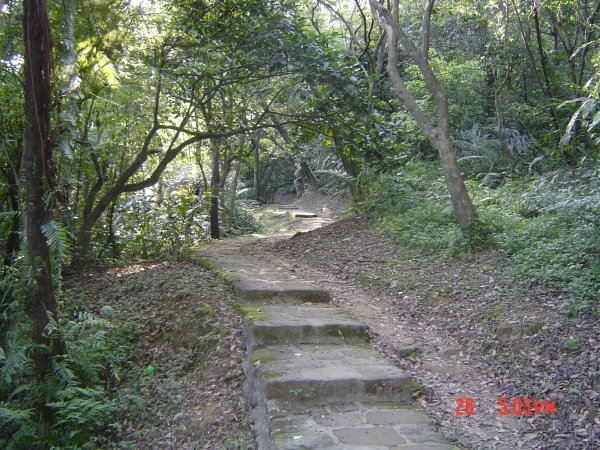 2008 Apr. 麗山橋口步道584641