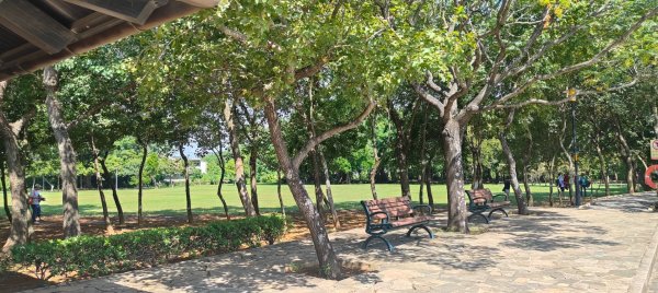 八德埤塘生態公園2890766