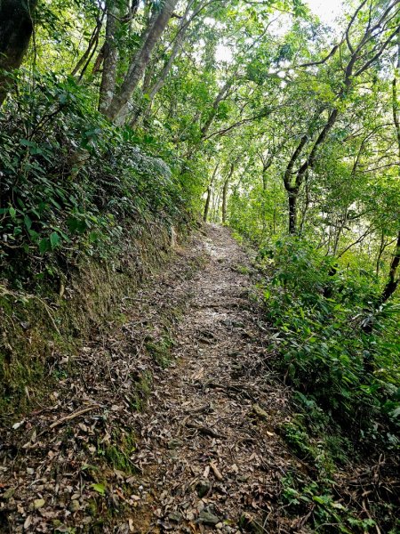 淡蘭南路第四段：𩻸魚堀溪自行車道至縣界公園2873641