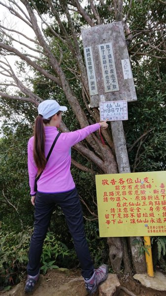 仙山登山步道503213