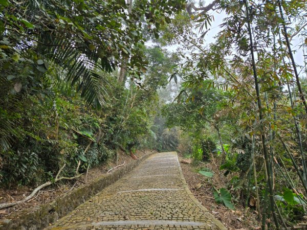 石硦林場（桶頭山）2991251