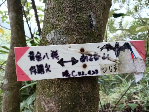 瑞芳區南子吝步道+南子吝稜+南子吝山+南子吝步道P字走2798467