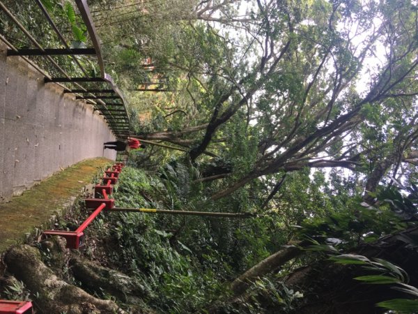 仙山（靈洞宮、協靈宮2723198