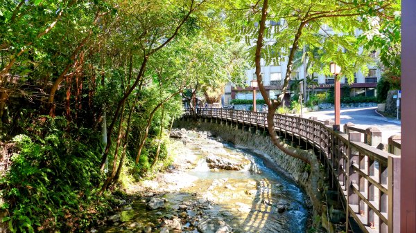 《蝶戀花・善光寺禪門櫻花》2709753