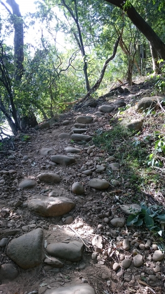 火炎山步道之旅23610