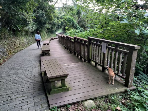 【新竹縣寶山鄉】寶山水庫環湖步道2833097
