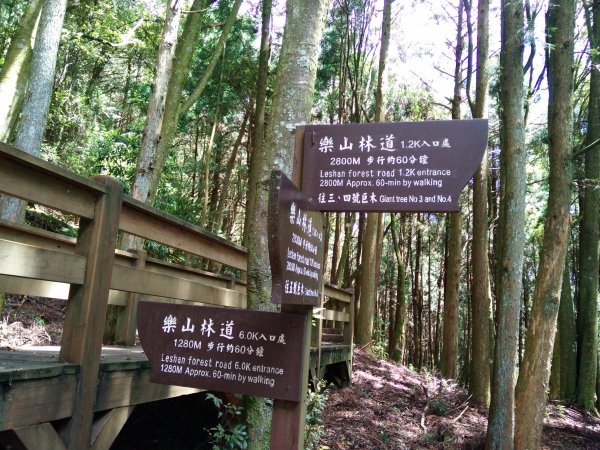 檜山巨木群步道53584