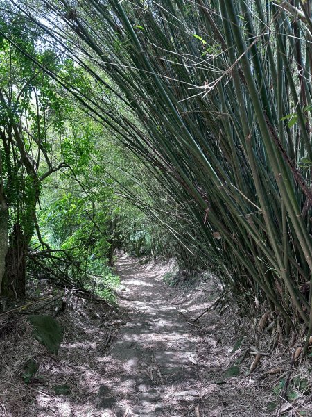 台北大縱走第一段2766815