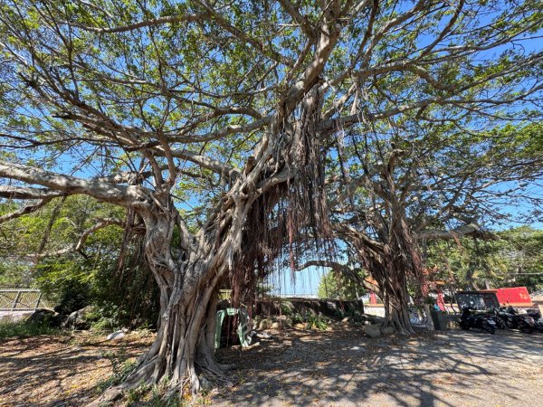 鐵砧山(小百岳#38)與桂花泉登山步道2934510