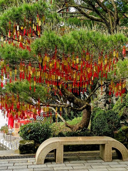 2025年臺北大縱走第七段：世界山莊至飛龍步道政大後山2757378