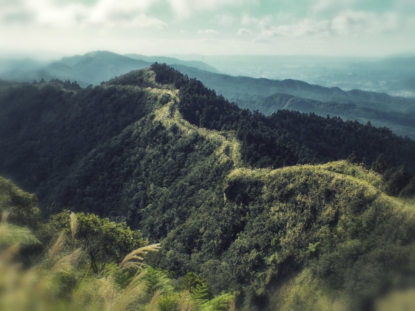 步道小旅行-賞芒聖地五分山3868