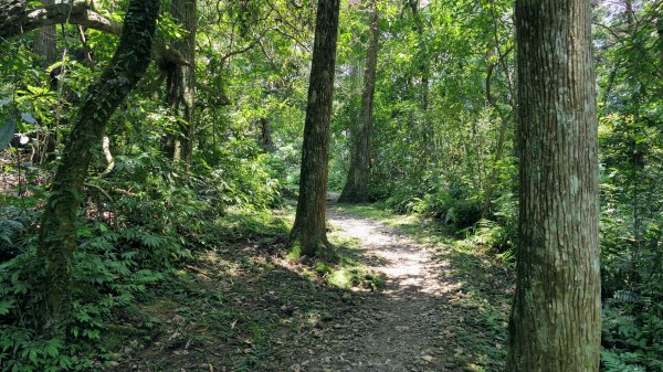 福山部落,內洞森遊區2552434