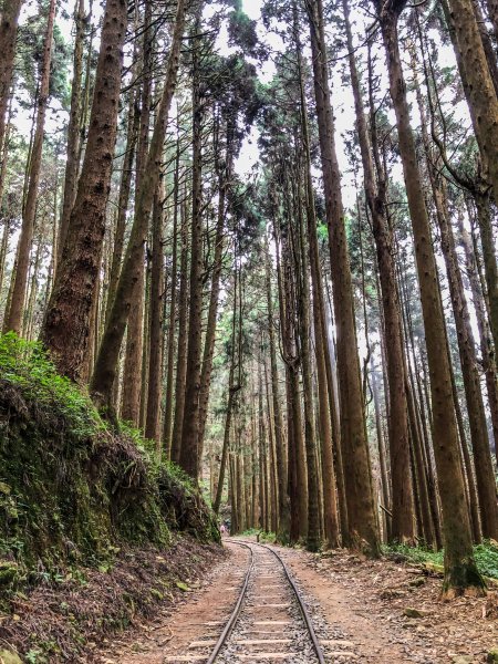 南投~特富野古道883932