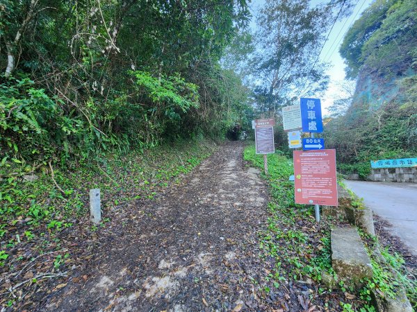 20241124布奴加里山2679102