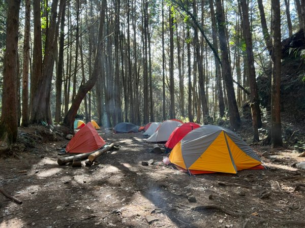 白雪村 不被遺忘的煉樟村2021232