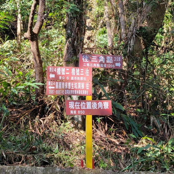 大橫屏山（小百岳）1544999