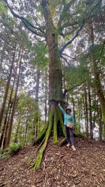 清泉 雪霸農場 野馬瞰山2925898