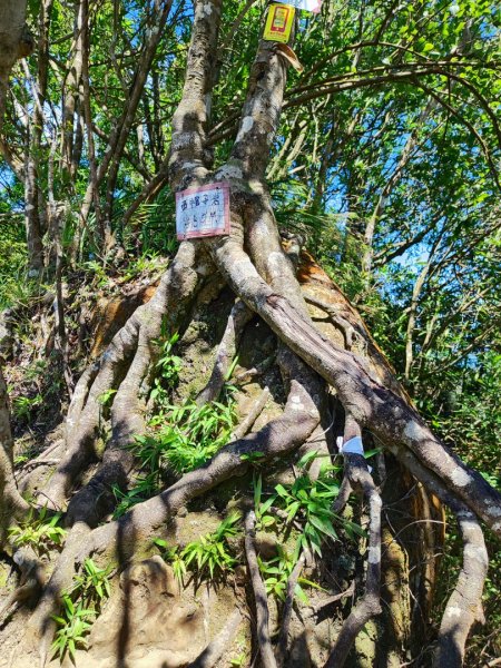 微笑山線筆架二格山系2860410