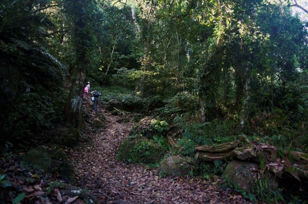 馬那邦山、細道邦山步道1390590