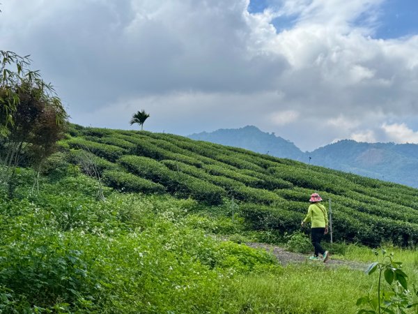 瞭望台-瓊山-望美山-獵人古道2886882
