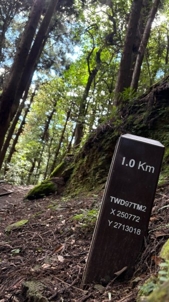 加里山東南峰2845045