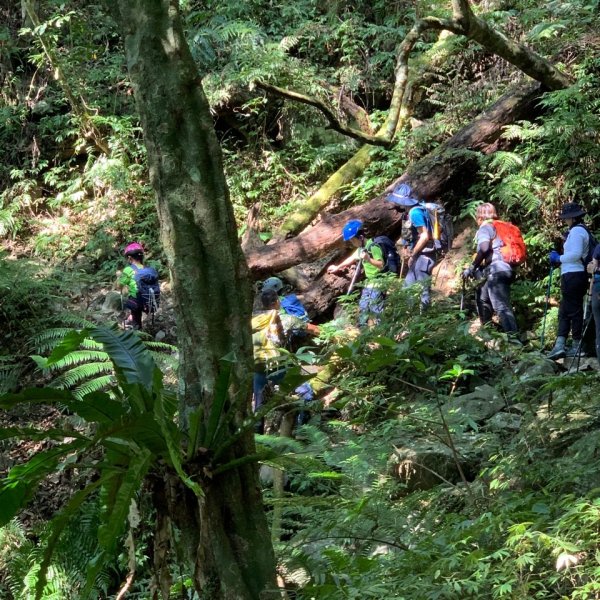 20221002烏來美鹿山(公子登山隊)1963072