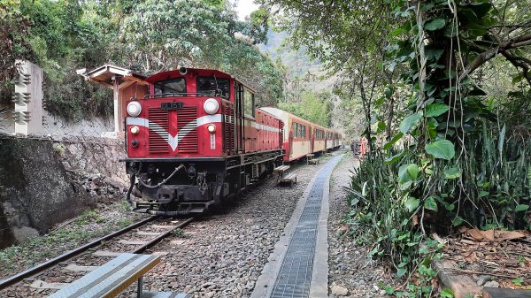 搭阿里山小火車遊獨立山步道、奉天岩連走大巃頂、太平，順遊太平雲梯