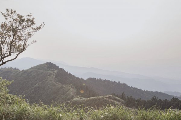 20200411-五分山步道918730