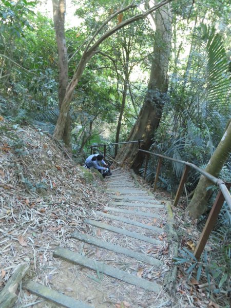 豐原三崁頂健康步道3上2下O形2696142