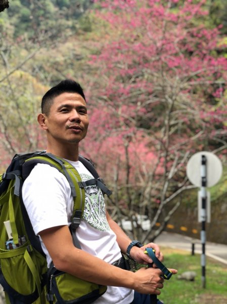 八仙山森林遊樂區【與藍腹鷴漫步在春光裡】531614