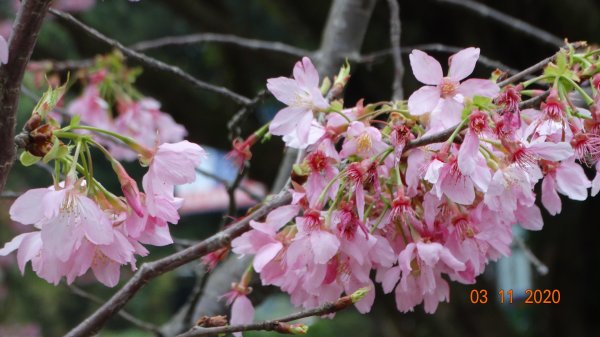 沒有意外，再度槓龜 !876579