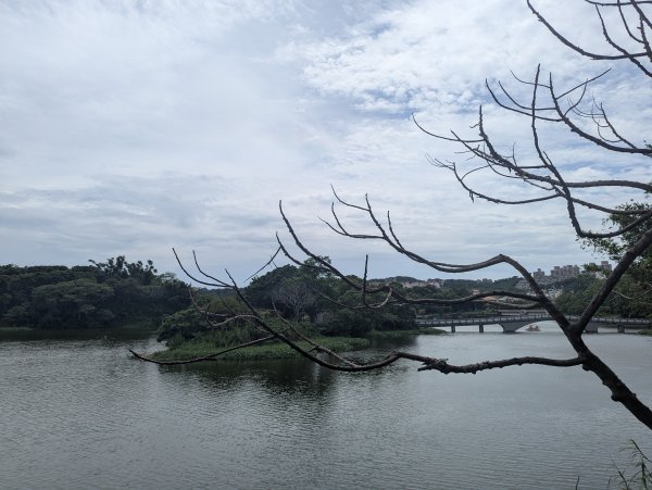 2025.08.03－青草湖環湖步道2850478