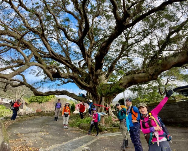 風尾步道-十八份拐圳步道-陽峰古道-頂坪櫻田-橫嶺古道-半嶺水圳古道-崧溪瀑布-天母圓環2419727