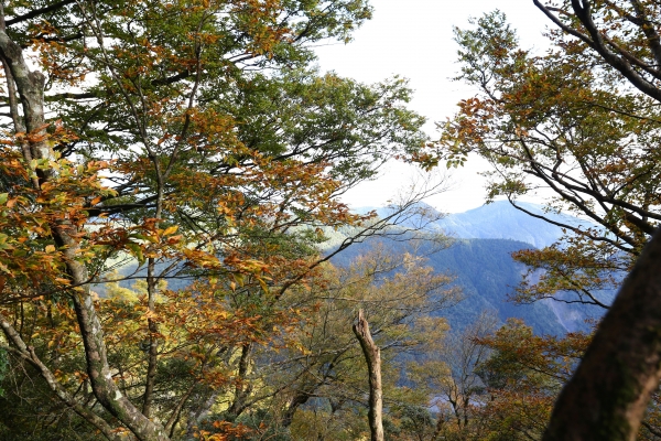 【步道小旅行】翠峰湖3520