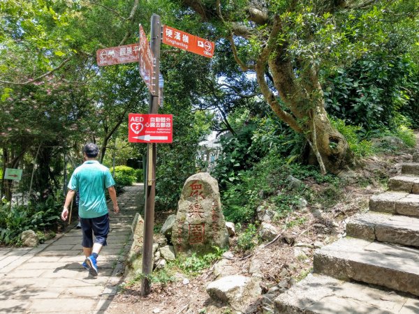 《觀音山步道》福隆山步道、硬漢嶺步道、楓櫃斗湖步道、林梢步道 (2020/8/16)1433281