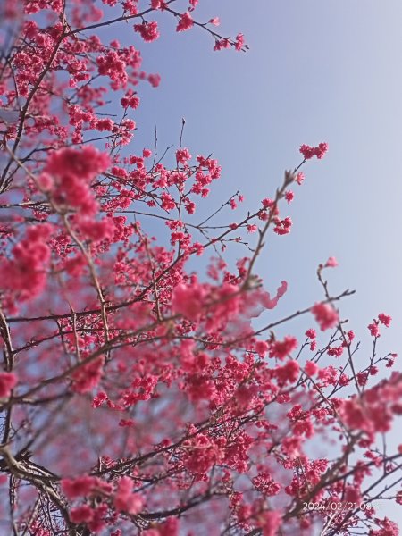 東湖樂活公園→内溝溪步道→內溝溪生態展示館→真武山→油桐嶺→內溝山→翠湖→北港二坑礦場遺址→金龍湖2433168