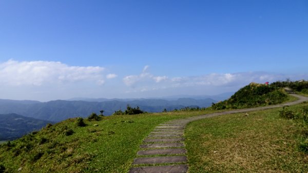 灣坑頭山，大里上大溪下1993805