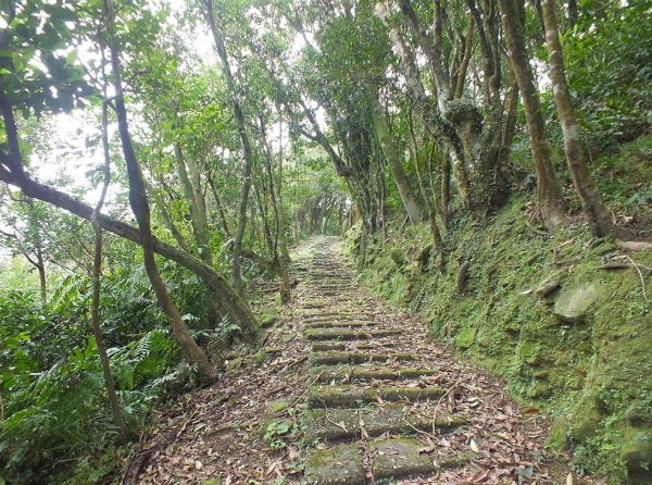 【新北市】泰和樓、大樟嶺、蘭平千里、虎豹潭