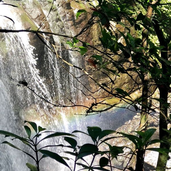 三峽雲森瀑布386462