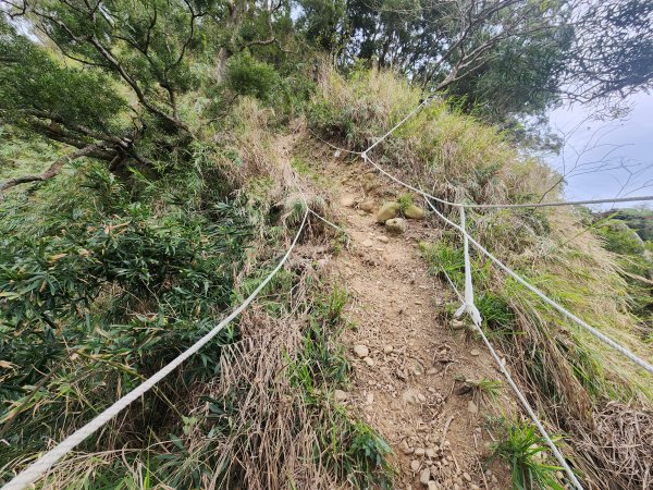 20250223田中大小劍與橫山2939840