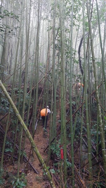 新竹內灣麥樹仁山五連峰2763833