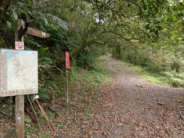 雙溪區石龜福德廟+坪溪古道+梗枋古道+叢雲山+叢雲山北峰+宜1縣縣界O型3019489