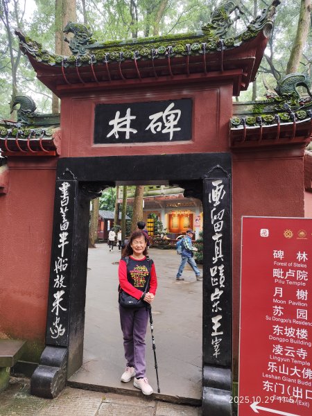 四川樂山大佛景區 (2-2)2939115