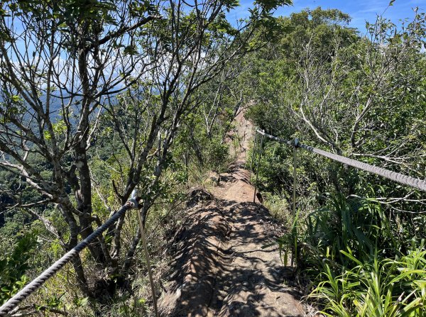 [微笑山線_第九段] 2025_0914 二格山系_天王峰2889618