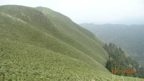 沒有意外，再度槓龜 !876558