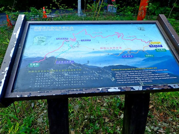 橫嶺山連走鳶嘴山2019/4/30575775