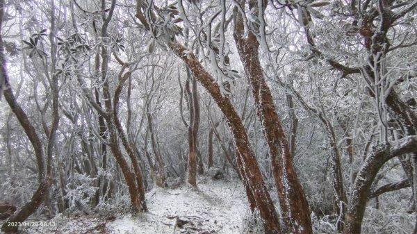 雪季北得拉曼2956471
