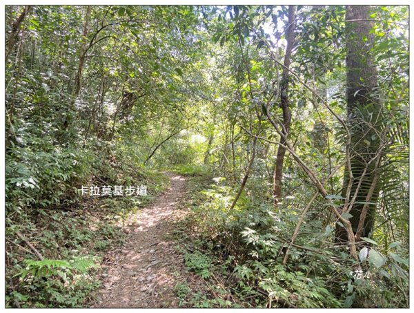 卡拉莫基步道、哈盆古道、波露南山 連走3094805